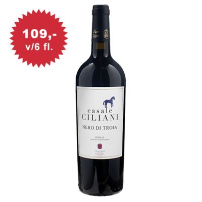 Ciliani  Nero Di Troia   D’ADDARIO - Apulien 